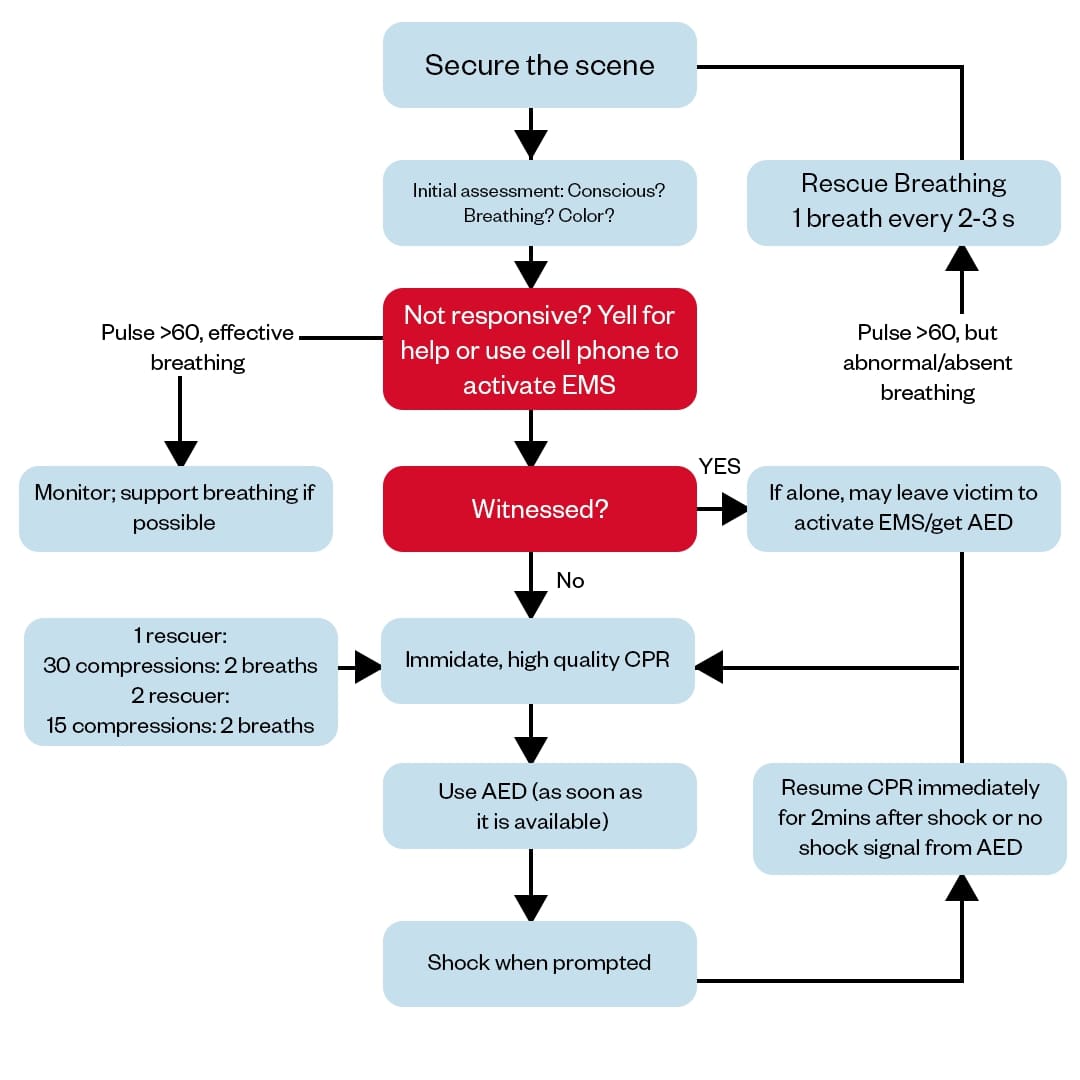 Pediatric BLS Algorithm for Healthcare Providers