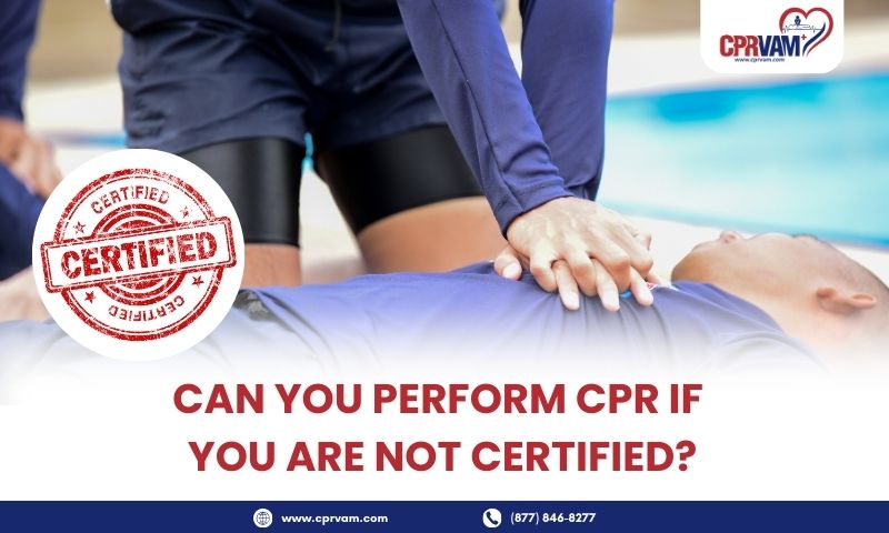 can-you-perform-cpr-if-you-are-not-certified