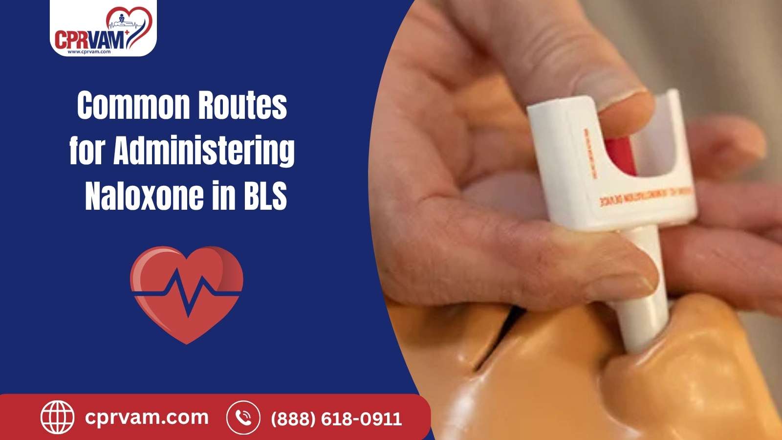 common naloxone administration routes in bls
