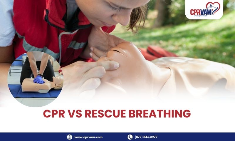 cpr vs rescue breathing