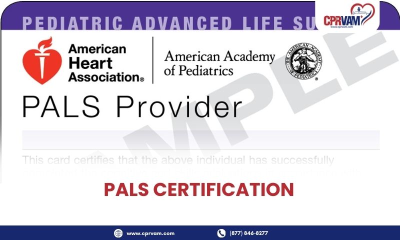pals-certification