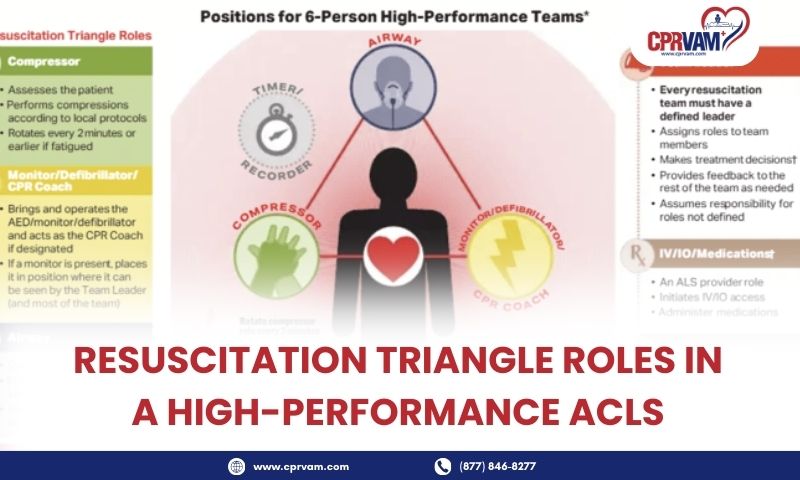 key-resuscitation-triangle-roles-in-acls