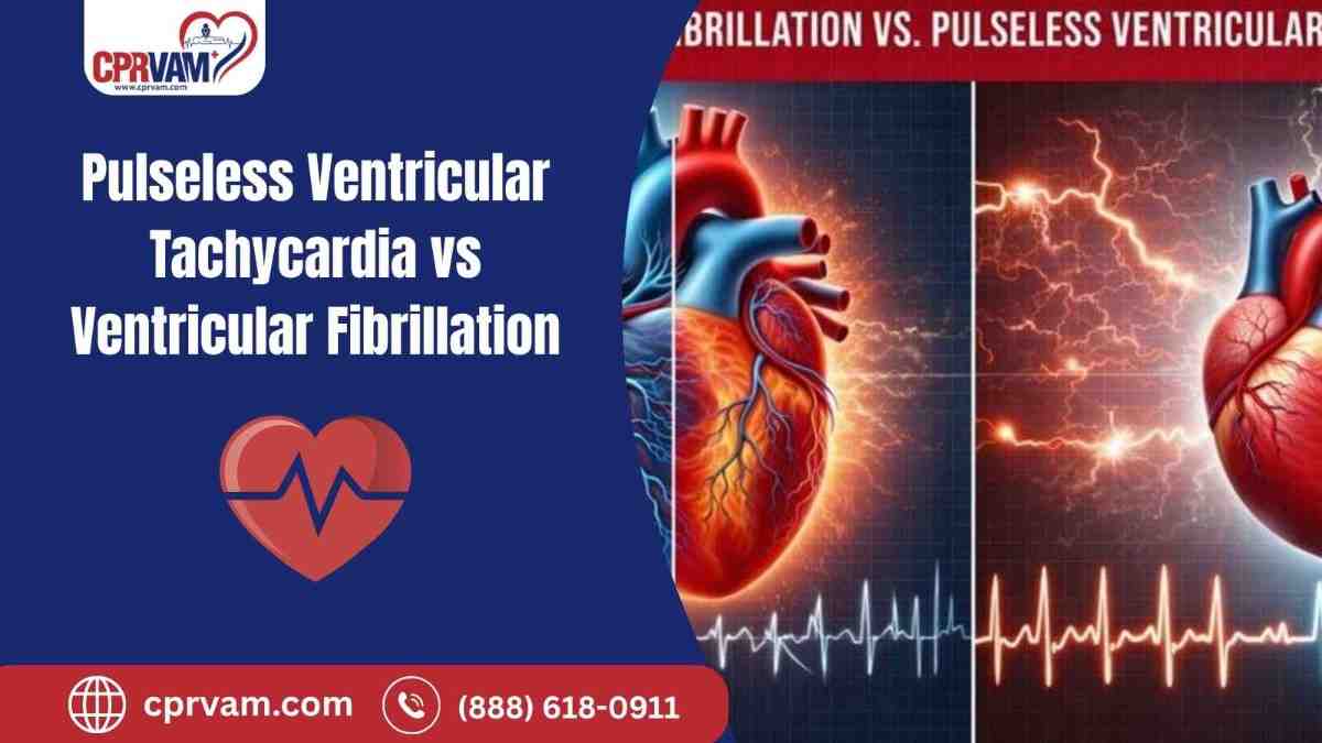 Pulseless ventricular tachycardia and ventricular fibrillation comparison