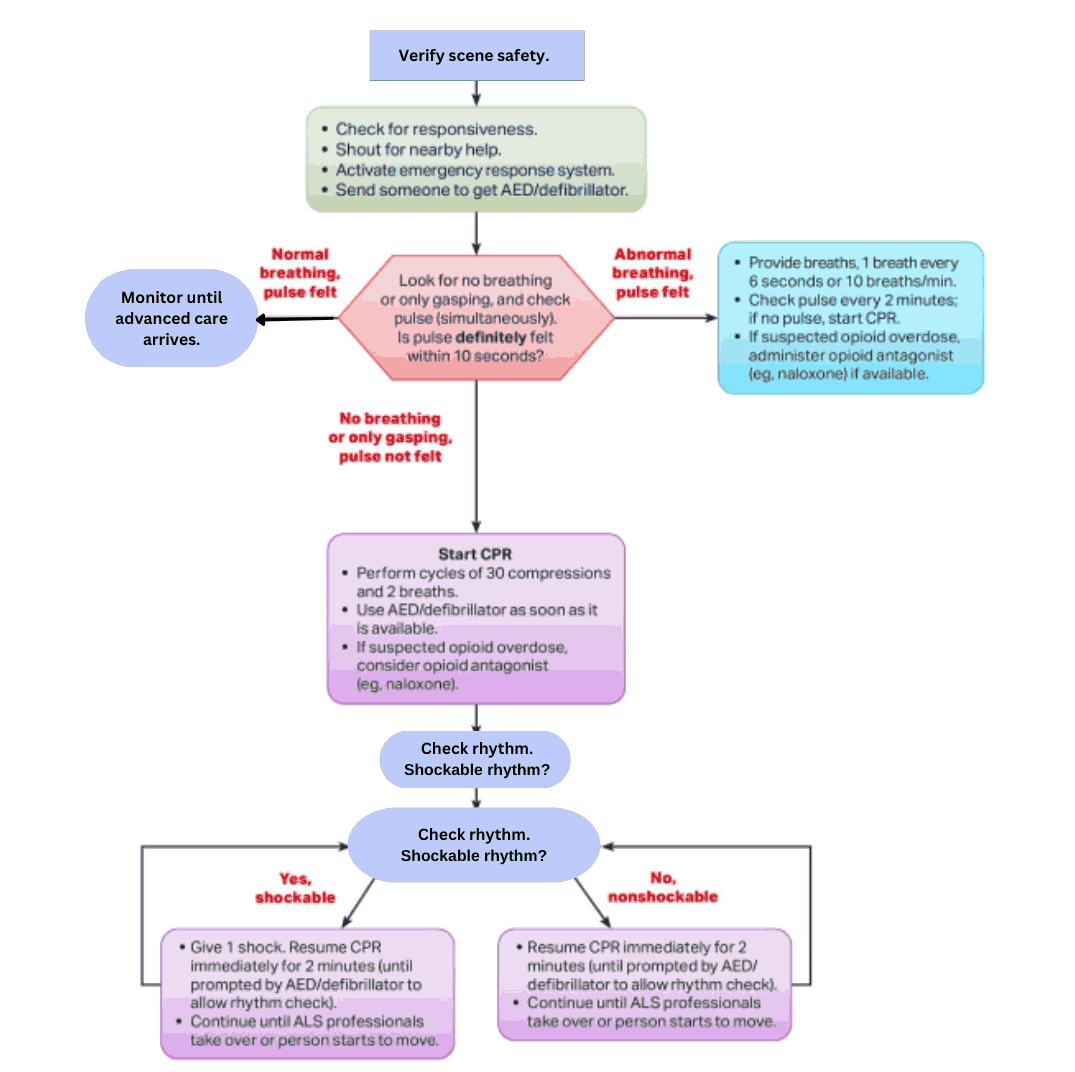 Flowchart of adult basic life support steps for emergencies