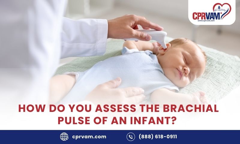 How Do You Assess the Brachial Pulse of an Infant?