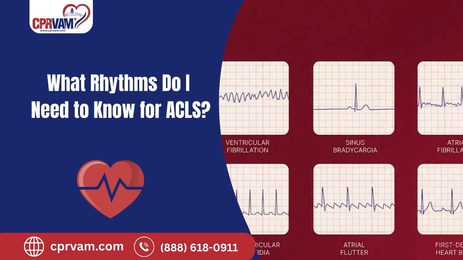 essential cardiac rhythms to know for ACLS certification and training