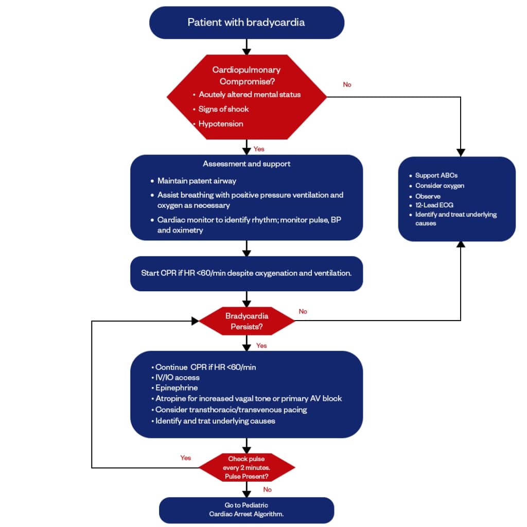 Pediatric Advanced Life Support bradycardia algorithm flowchart for emergency cardiac care
