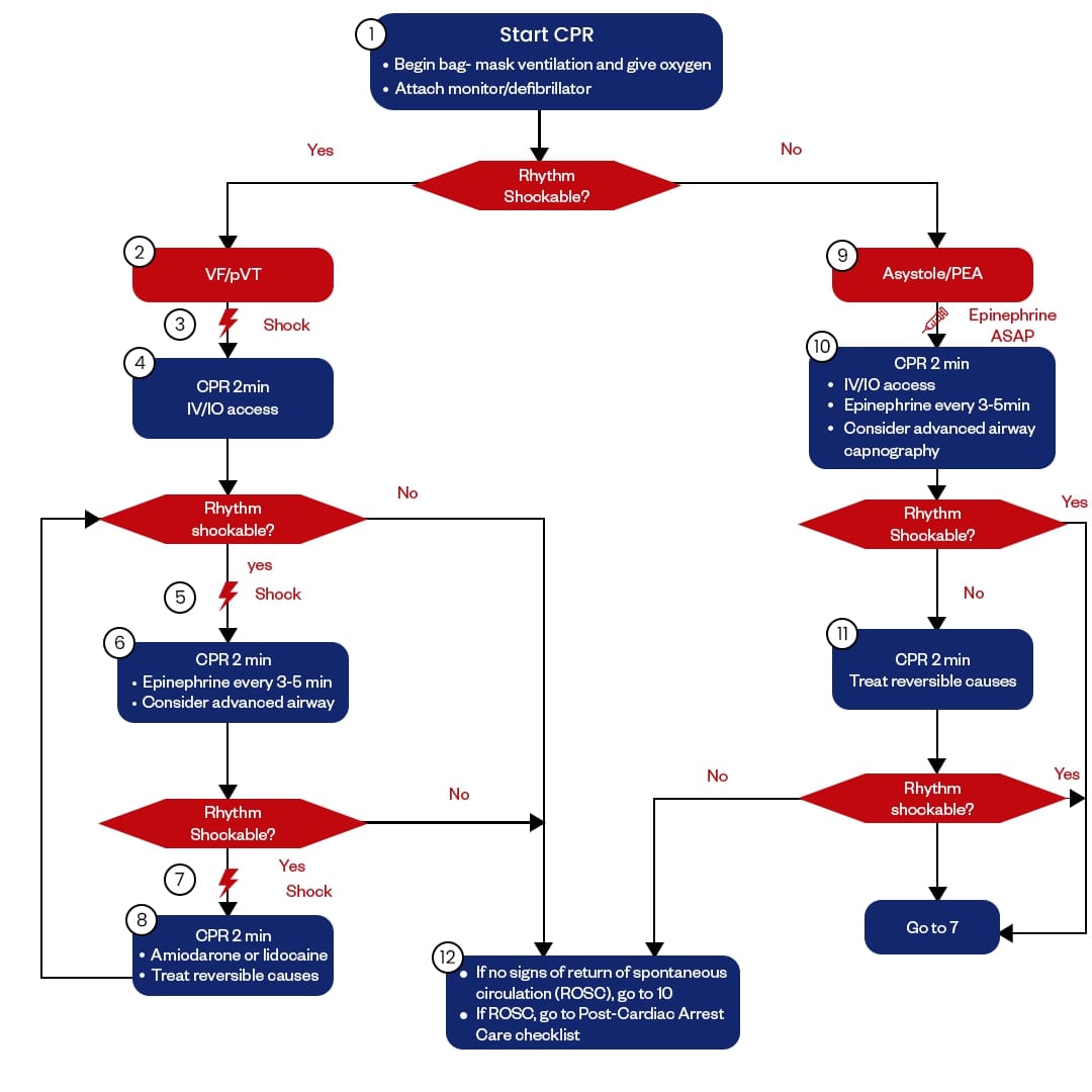 Pediatric cardiac arrest algorithm flowchart for emergency care