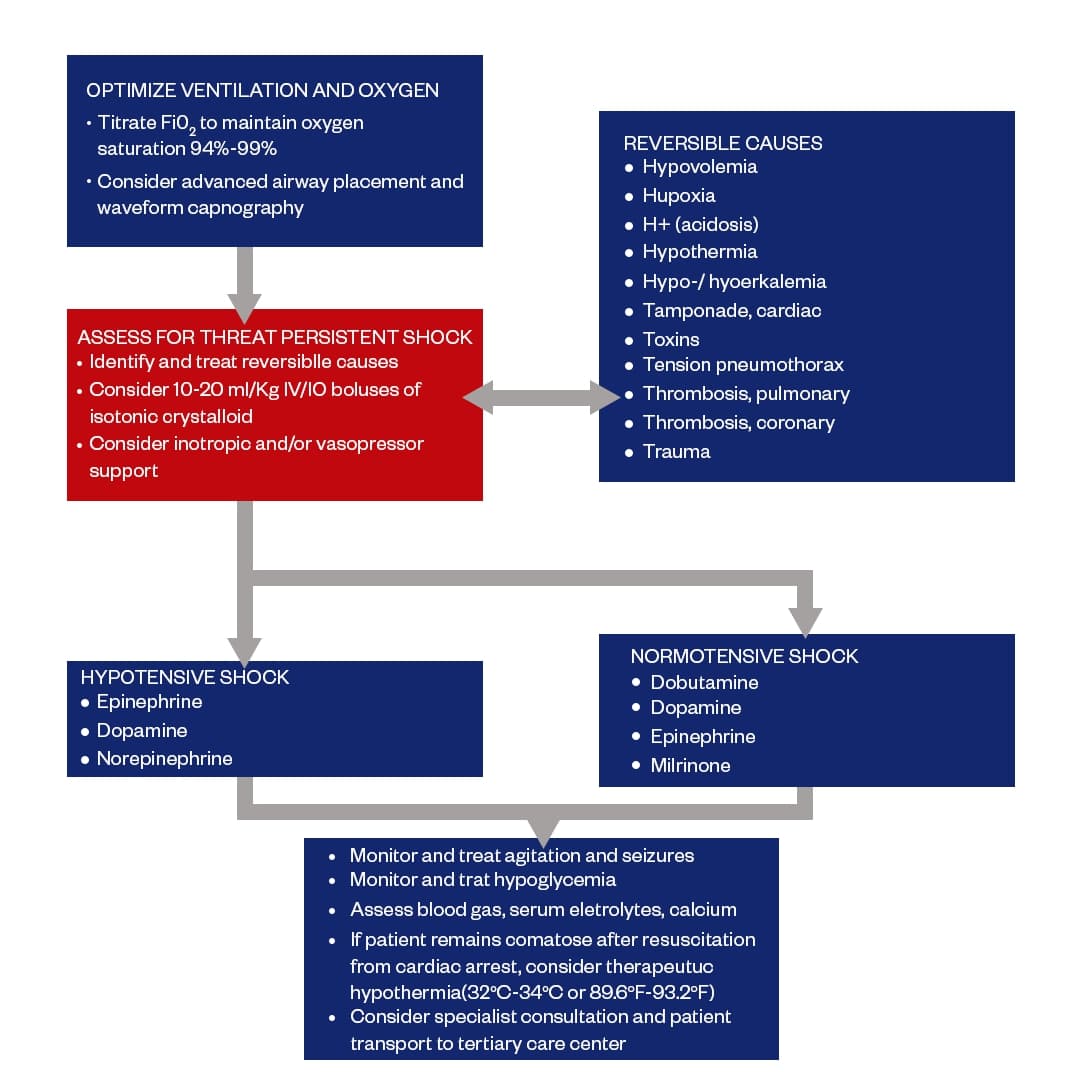 Pediatric post resuscitation care algorithm after ROSC