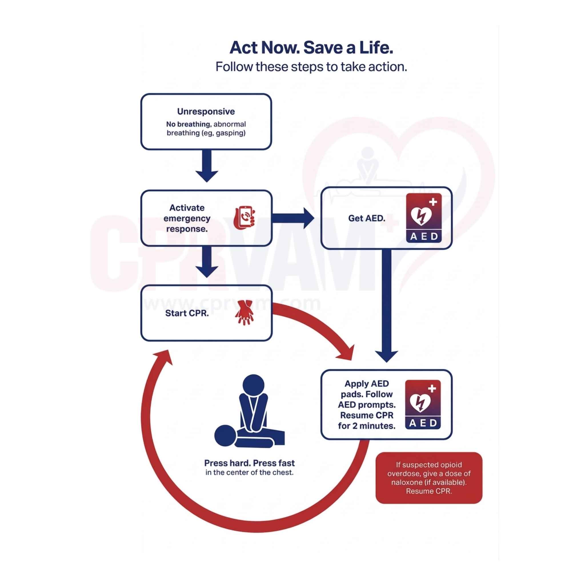 Adult BLS algorithm for lay rescuers