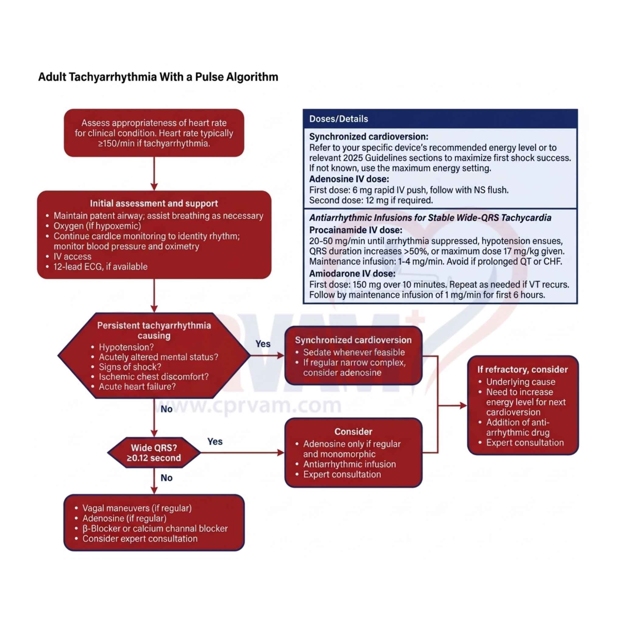 Adult tachycardia with pulse algorithm step-by-step guide