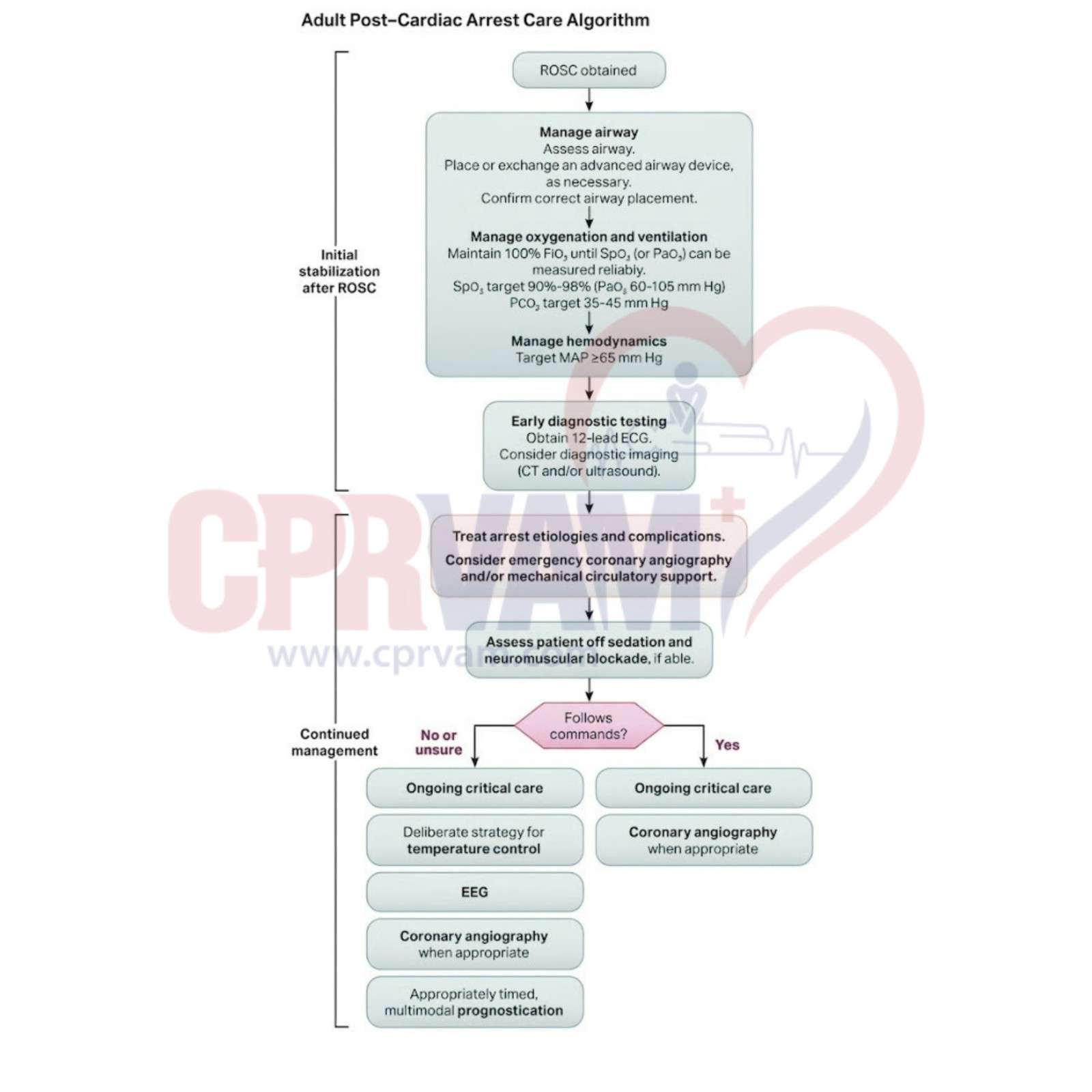 Adult post-cardiac arrest care algorithm flowchart