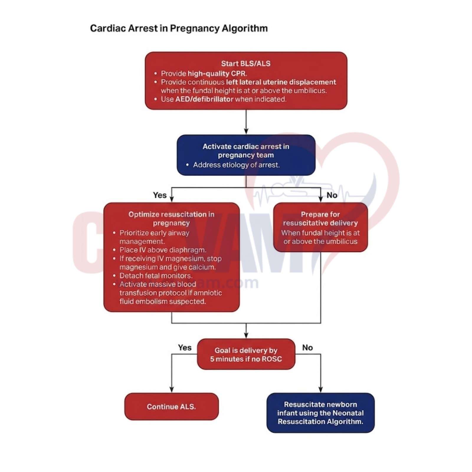 Cardiac arrest in pregnancy algorithm diagram