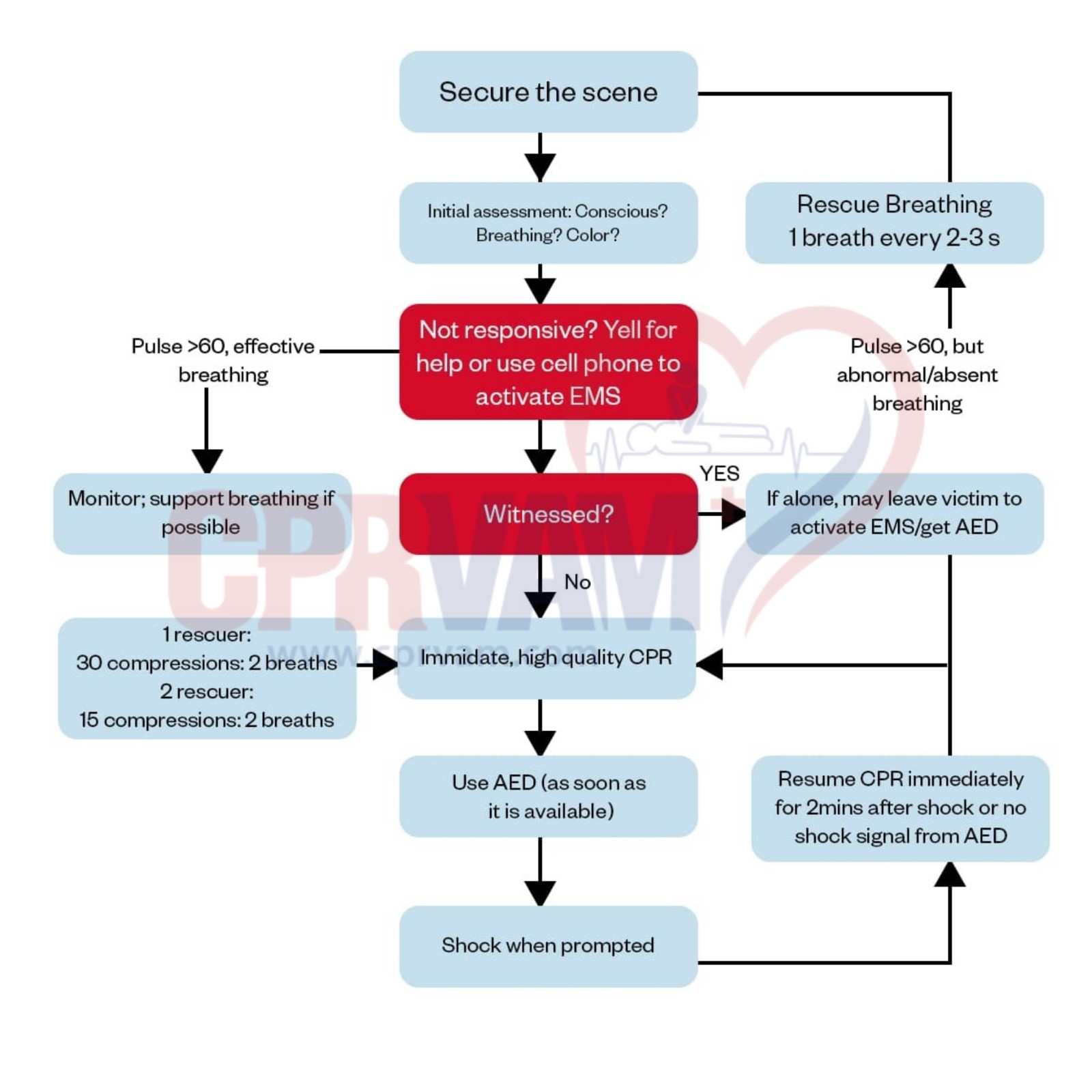 Pediatric BLS algorithm flowchart for child emergency response