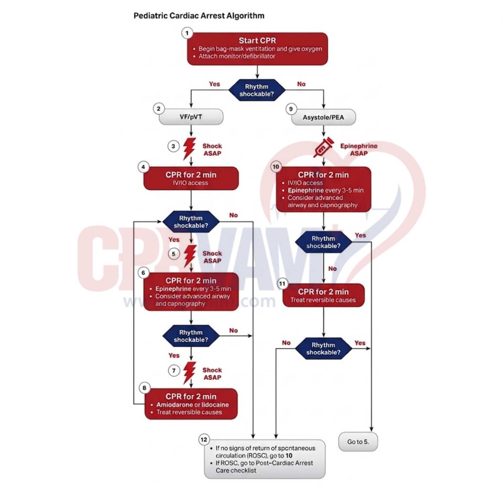 Pediatric cardiac arrest algorithm flowchart