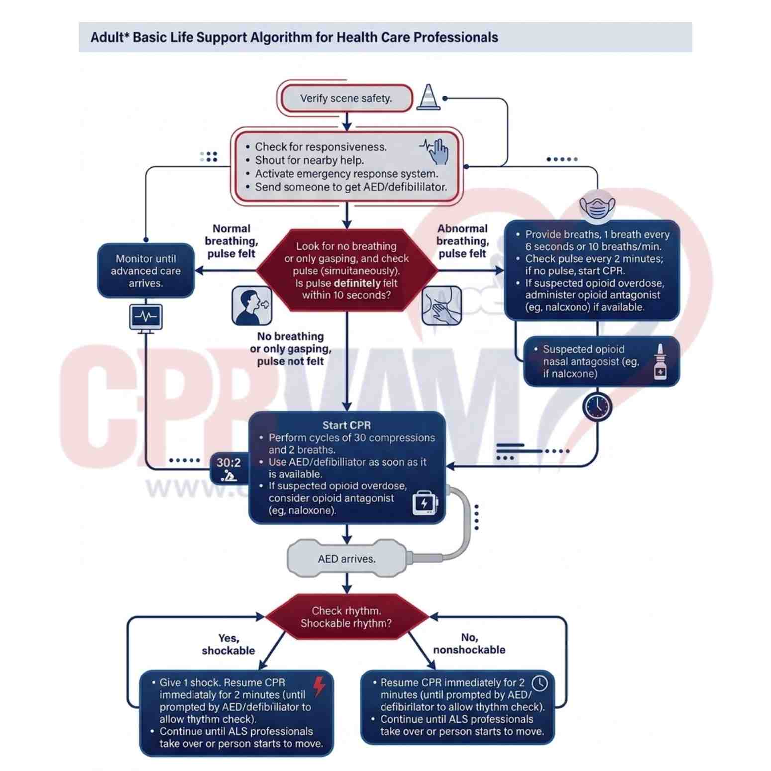Adult BLS algorithm chart for step-by-step life support process