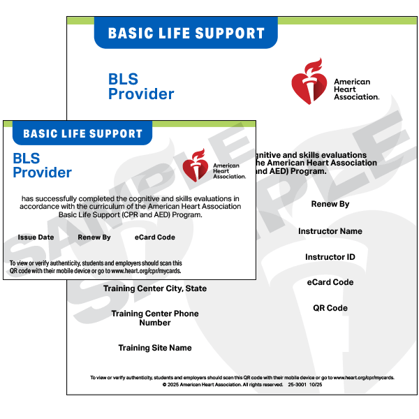 Basic Life Support (BLS) Classes