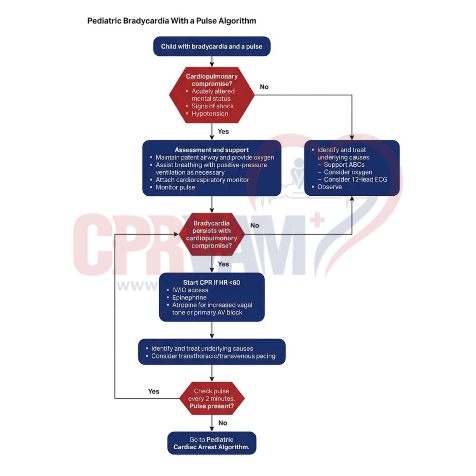PALS Bradycardia Algorithm