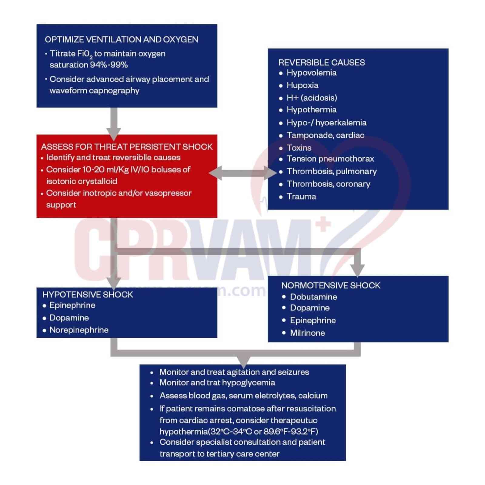 Pediatric post-resuscitation care algorithm flowchart after cardiac arrest