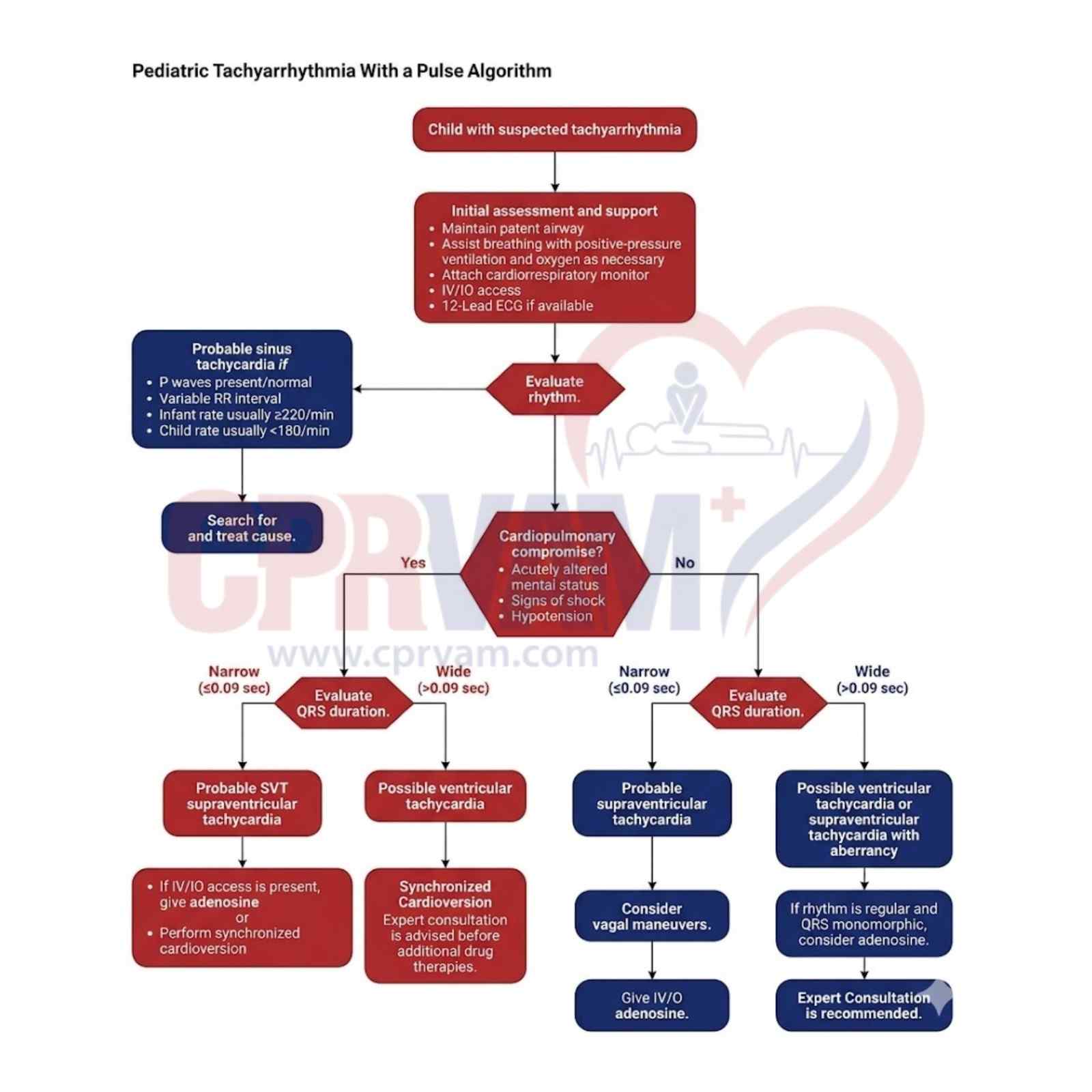 Pediatric tachyarrhythmia with pulse algorithm flowchart