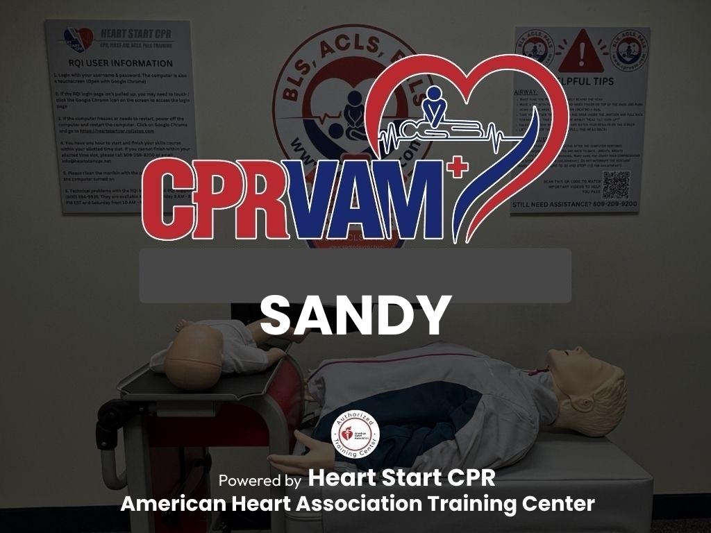AHA CPR, BLS, ACLS, and PALS Classes in Sandy