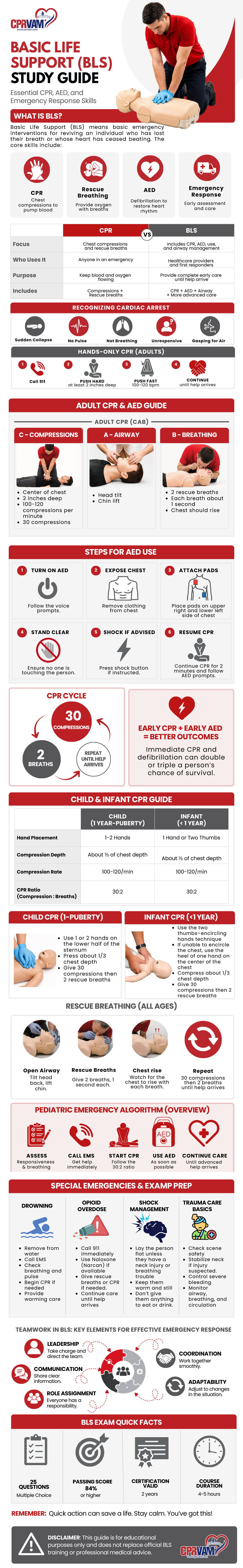 BLS infographic guide explaining basic life support steps