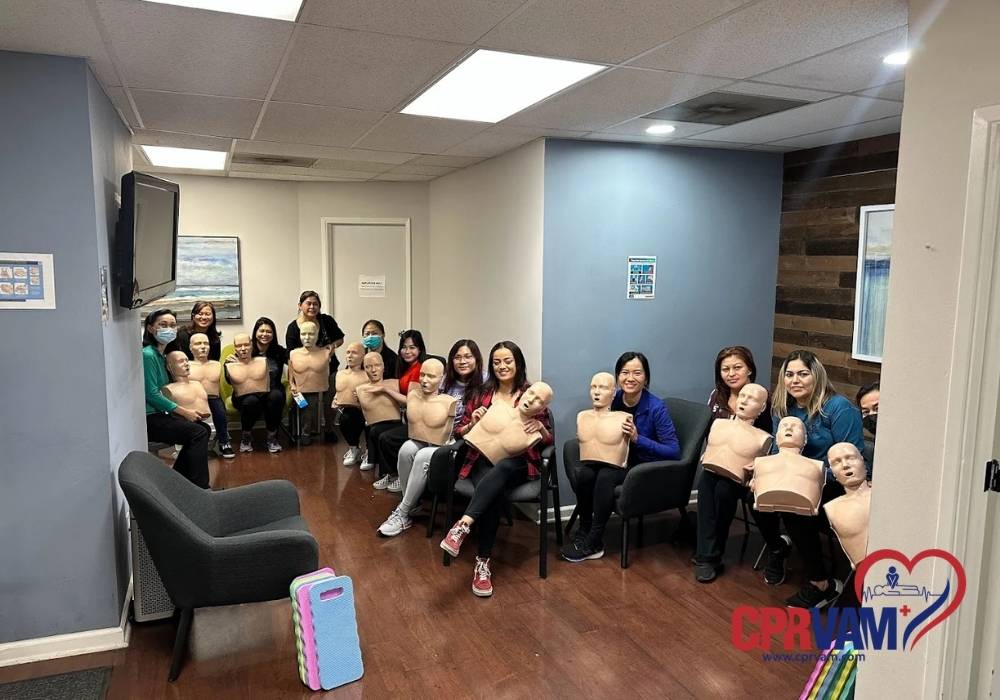 AHA Heartsaver CPR Classes and Training in CPR VAM