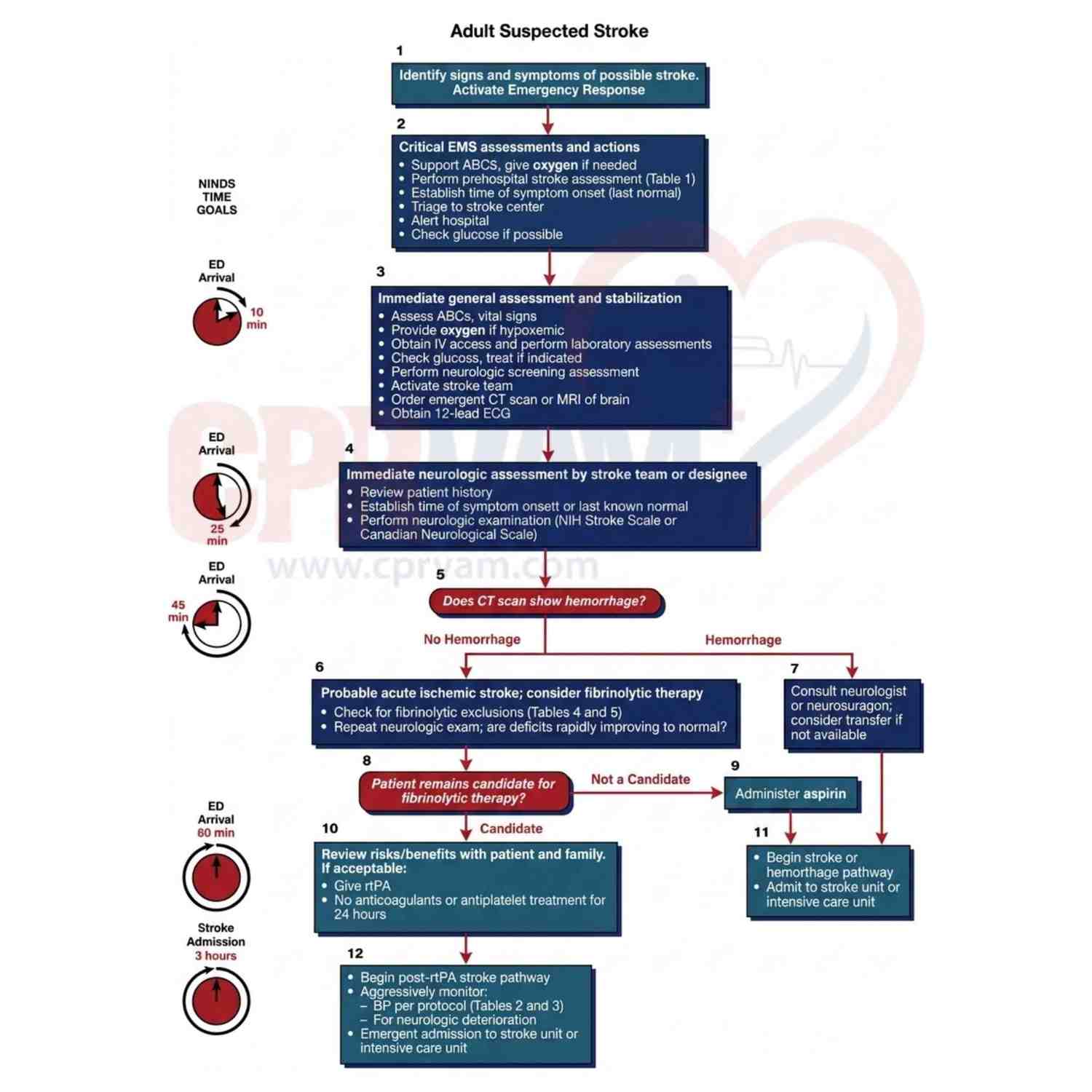 Stroke assessment and treatment guidance for adults